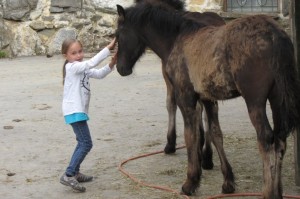 Kinder lieben Tiere - ganz besonders Pferde